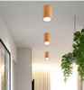 Dru - Modern Nordic LED Ceiling Lights