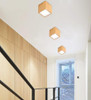 Dru - Modern Nordic LED Ceiling Lights
