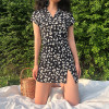 Valeria Daisy Print Set