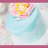 8 pcs DIY Cake Lace Decoration Mold