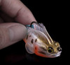 Soft Bite Fishing Lure