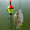 Portable Automatic Fishing Hook