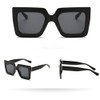 Big Frame Retro Sunglasses