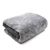 Chanay Warm Throw Blanket