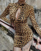 Mock Neck Leopard Keyhole Tassel Detail Dress