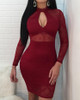 Sexy Cutout Front Hollow Out Lace Sheath Dress