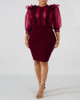 Sheer Mesh Insert Ruffles Bodycon Dress