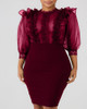 Sheer Mesh Insert Ruffles Bodycon Dress