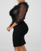 Sheer Mesh Insert Ruffles Bodycon Dress