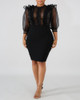 Sheer Mesh Insert Ruffles Bodycon Dress