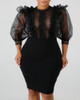 Sheer Mesh Insert Ruffles Bodycon Dress