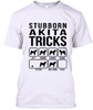 STUBBORN DOG