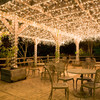 Solar Fairy LED Lights
