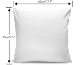 Fire Eye Skull Pillow Cover