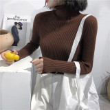 Turtleneck Slim Pullover