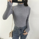 Turtleneck Slim Pullover