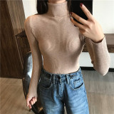 Turtleneck Slim Pullover