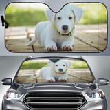 Puppy Cute Dog Auto Sun Shade Windshield