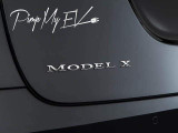 Tesla Model X Emblem Badges Letters (5 options)