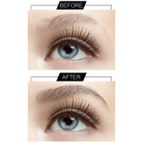 3D Eyebrow Fibers