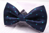 Polka Dot Bow Tie