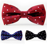 Polka Dot Bow Tie