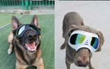 Cool Dog Sunglasses UV Protection