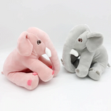 Ellie & Eggie The Baby Elephants