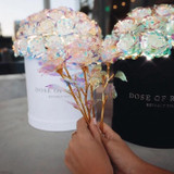 The Valentines Day Galaxy Rose [Limited Edition]