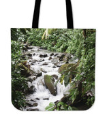 Caimitillo stream