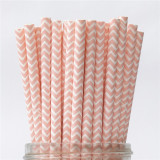 25pcs Metallic Paper Straws