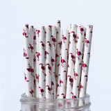 25pcs Metallic Paper Straws