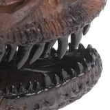 Handcraft Tyrannosaurus Rex Dinosaur Skull Collectible