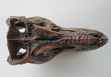 Handcraft Tyrannosaurus Rex Dinosaur Skull Collectible