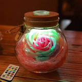 Rose Bottle LED Lamp