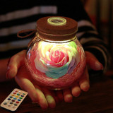 Rose Bottle LED Lamp