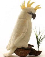Cockatoo White 8.5"