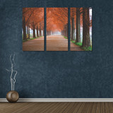 Autumn Park Fooliage Path Canvas Wall Art 3 Pieces Framed Wall Pictures Autumn Park Fooliage Path Canvas Wall Art 3 Pieces Framed Wall Pictures