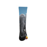 Dumbo Socks
