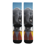 Dumbo Socks