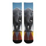 Dumbo Socks
