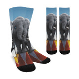 Dumbo Socks