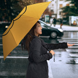 Garfield Cat Umbrella