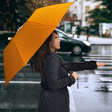 Garfield Cat Umbrella