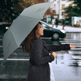 Dumbo Face Umbrella