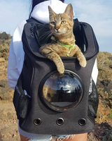 The Fat Cat Cat Backpack - For Larger Cats