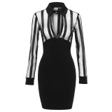 Bodycon Sheer mesh dress
