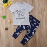 Boy Baby Boy Grey Dinosaur Set