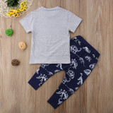 Boy Baby Boy Grey Dinosaur Set