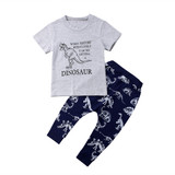 Boy Baby Boy Grey Dinosaur Set